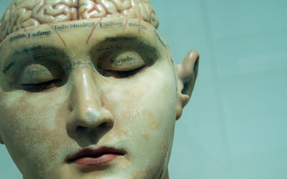 Мозг уже не различает ИИ-лица — что будет с будущим цифрового мира?