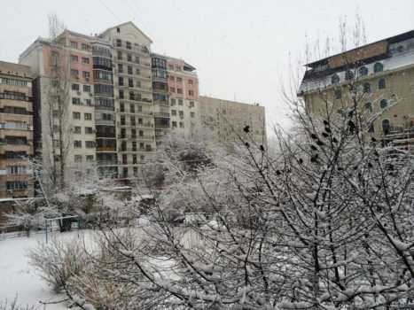 Погода в России в марте 2026: аномальное тепло, рекорды и что происходит с климатом