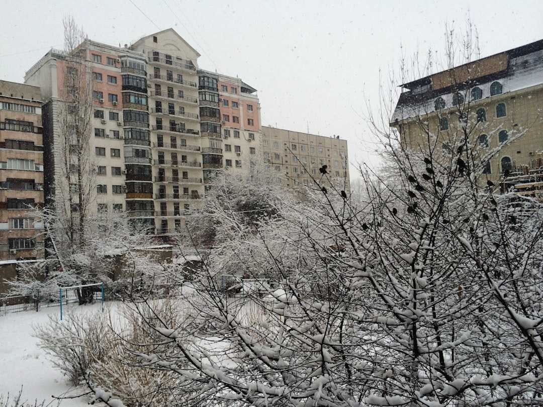 Погода в России в марте 2026: аномальное тепло, рекорды и что происходит с климатом